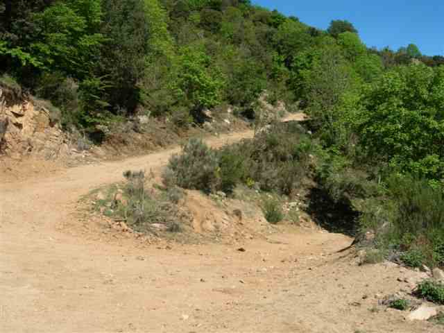 Epingle dans la montée au Coll de Sabènia de Baix